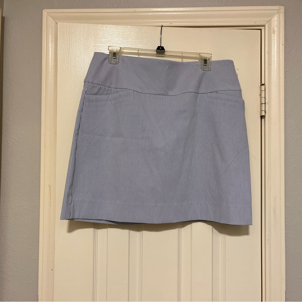Blue Striped Skort